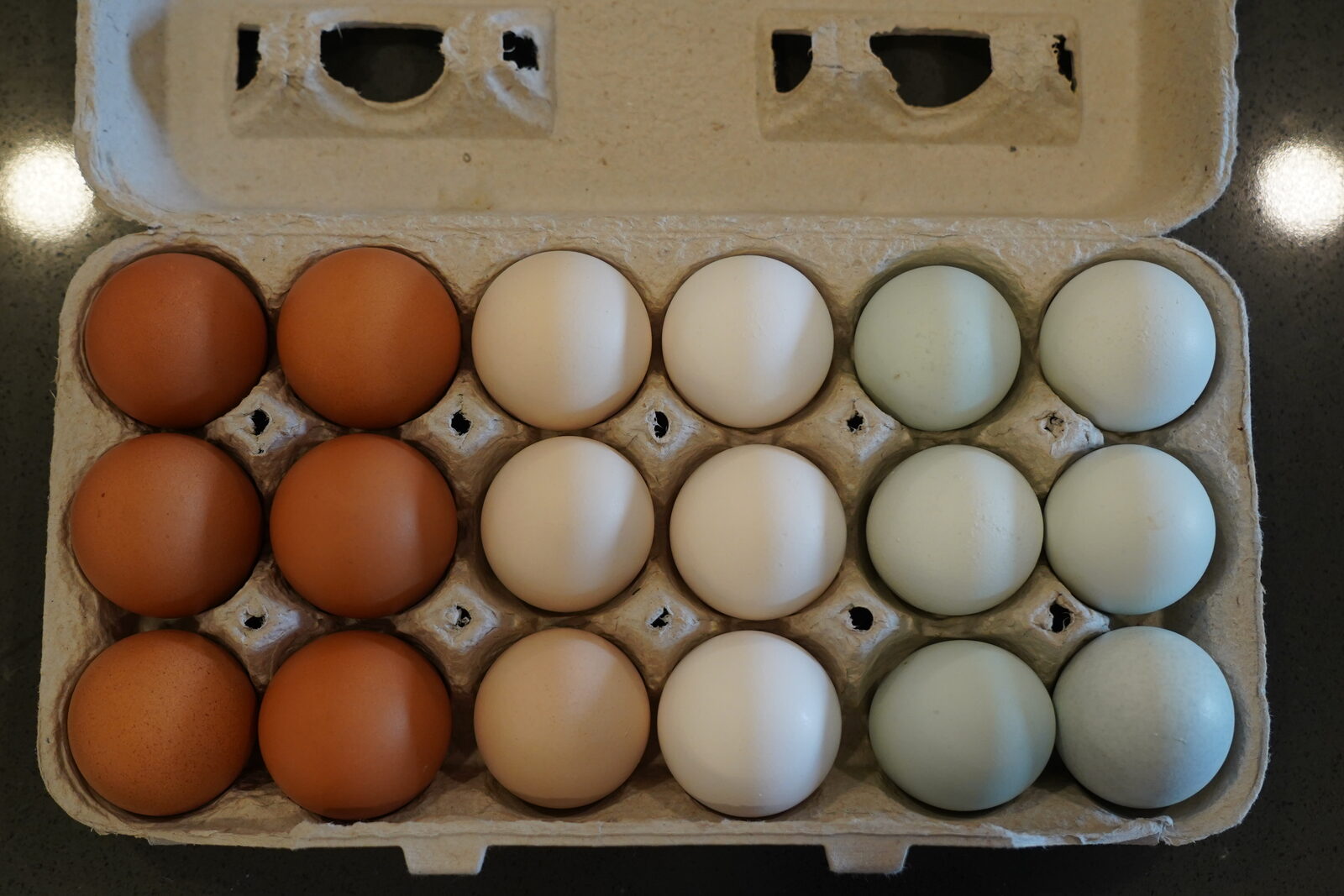 18-Count Egg Carton — Top View